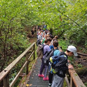 Wandertag 4. Klassen