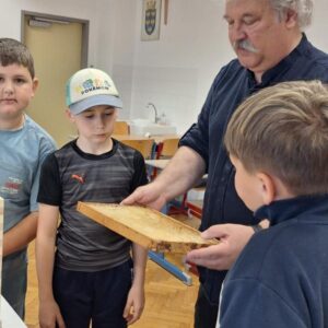 Bienenprojekt