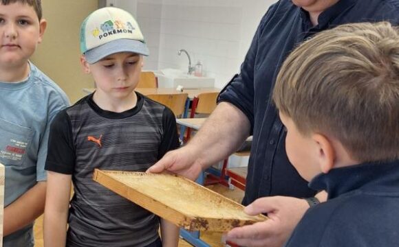 Bienenprojekt Bienenprojekt