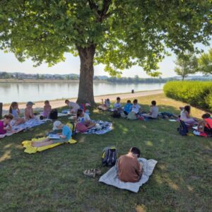 Lesepicknick an der Donau