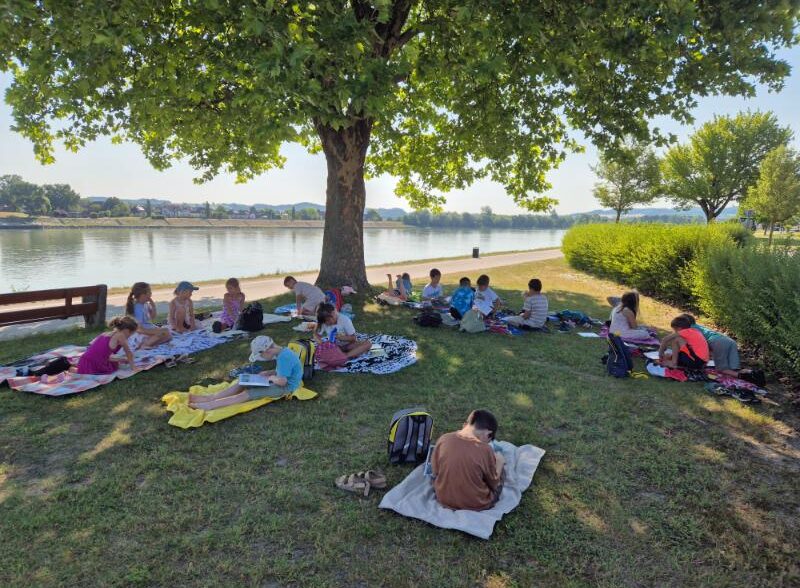 Lesepicknick an der Donau